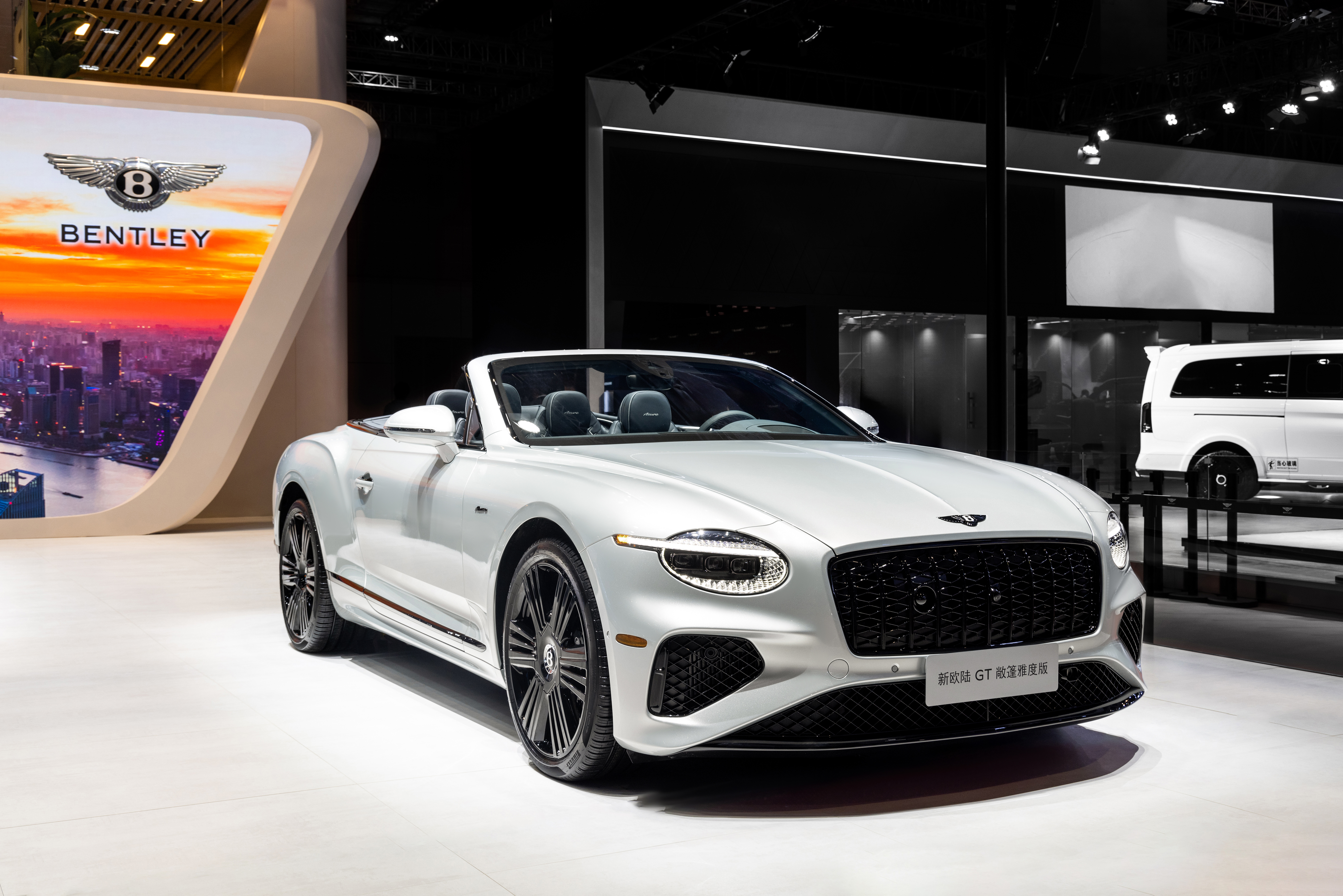 Auto China - 11